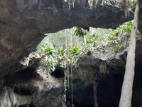 Jade Cenote (Cozumel) - All You Need to Know BEFORE You Go