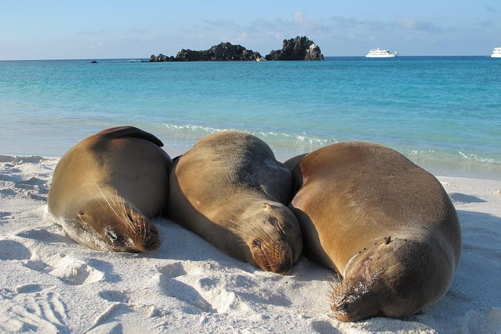 2024 Galapagos Island 4 Days - 2 Islands : From Sand to Volcanoes