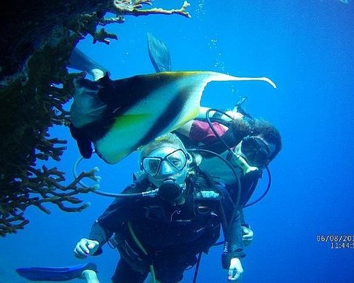THE 10 BEST Sharm El Sheikh Scuba & Snorkeling Activities (2024)