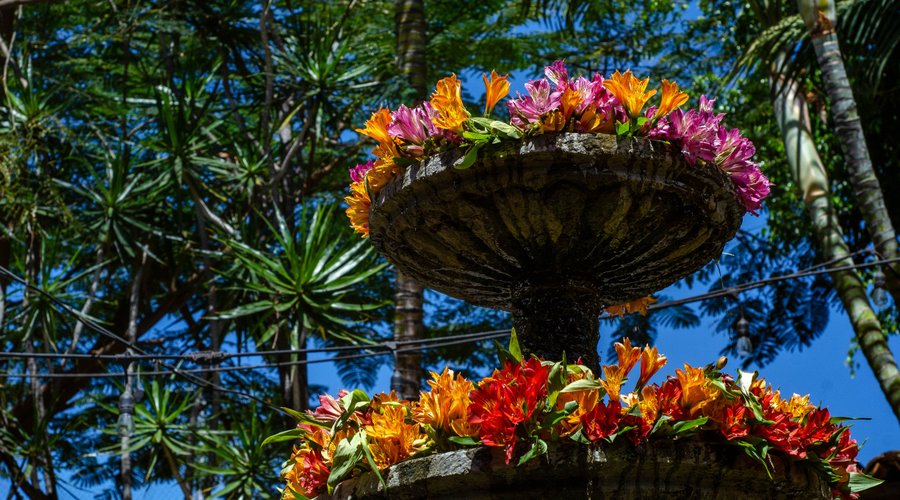 ☀ Disfruta de los soleados días en El Patio Tlaquepaque 🌳🌸


#ElPatioTlaquepaque #tlaquepaque #fuente #flores #cieloazul #pueblomagico #gastronomiamexicana #tradiciones #raices #mexicolindo #mexicoesmagia #mexico