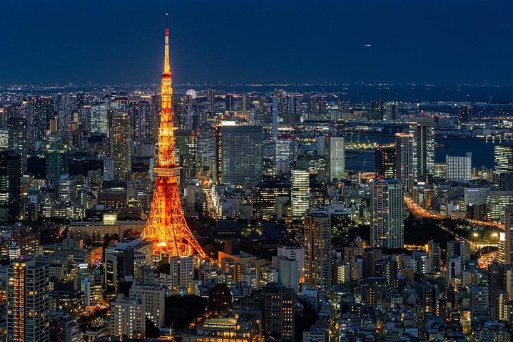 2024 Shibakoen Tokyo Tower Observatory Admission Ticket   Caption 