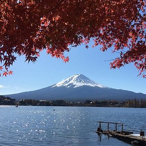 21年 山中湖村で絶対外さないおすすめ観光スポットトップ10 定番から穴場まで トリップアドバイザー