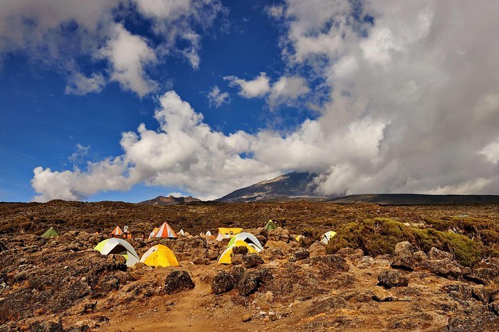 THE 10 BEST Moshi Climbing Tours (Updated 2023) - Tripadvisor