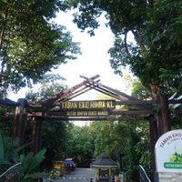 KL Forest Eco Park - All You Need to Know BEFORE You Go (2024)