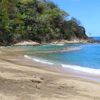Arnos Vale Reef (Tobago) - All You Need to Know BEFORE You Go