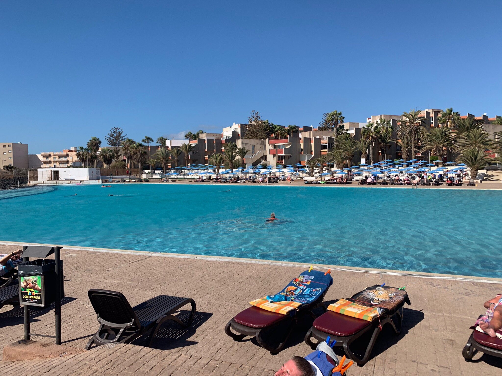 ONA ALBORADA Updated 2024 Prices Hotel Reviews Tenerife Las