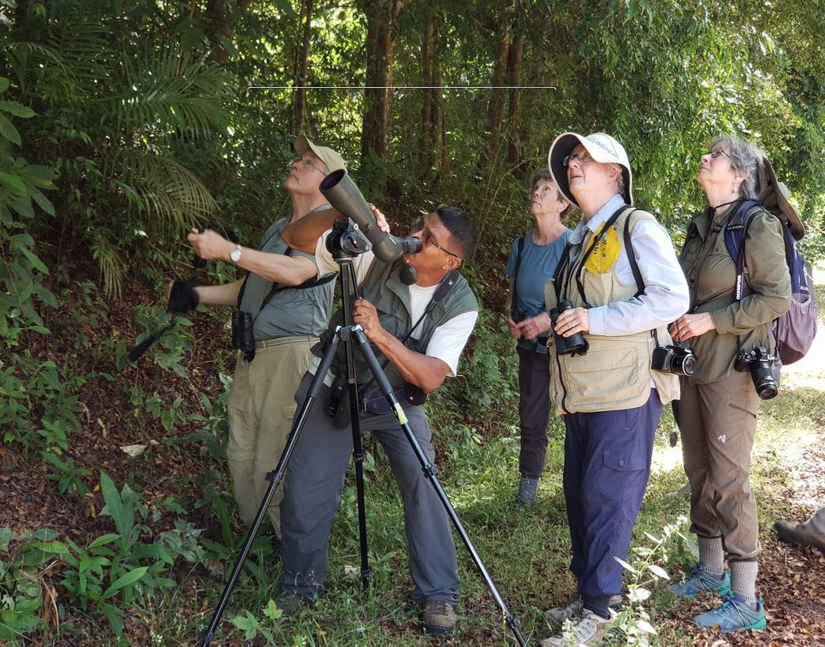 panama birding trip reports