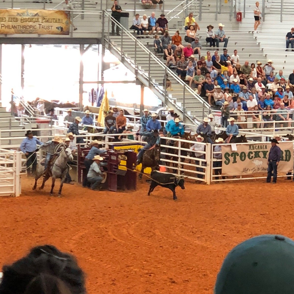 ARCADIA ALLFLORIDA CHAMPIONSHIP RODEO Ce qu'il faut savoir