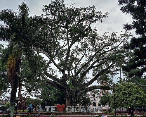 The Best Things To Do In Gigante Updated 2023 Must See Attractions In Gigante Colombia 