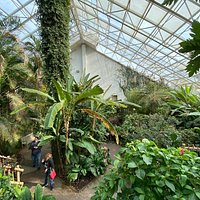 Foellinger-Freimann Botanical Conservatory (Fort Wayne) - All You Need ...