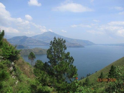 North Sumatra palawanismyhome review images