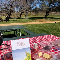 Picnic at Terra D’Oro