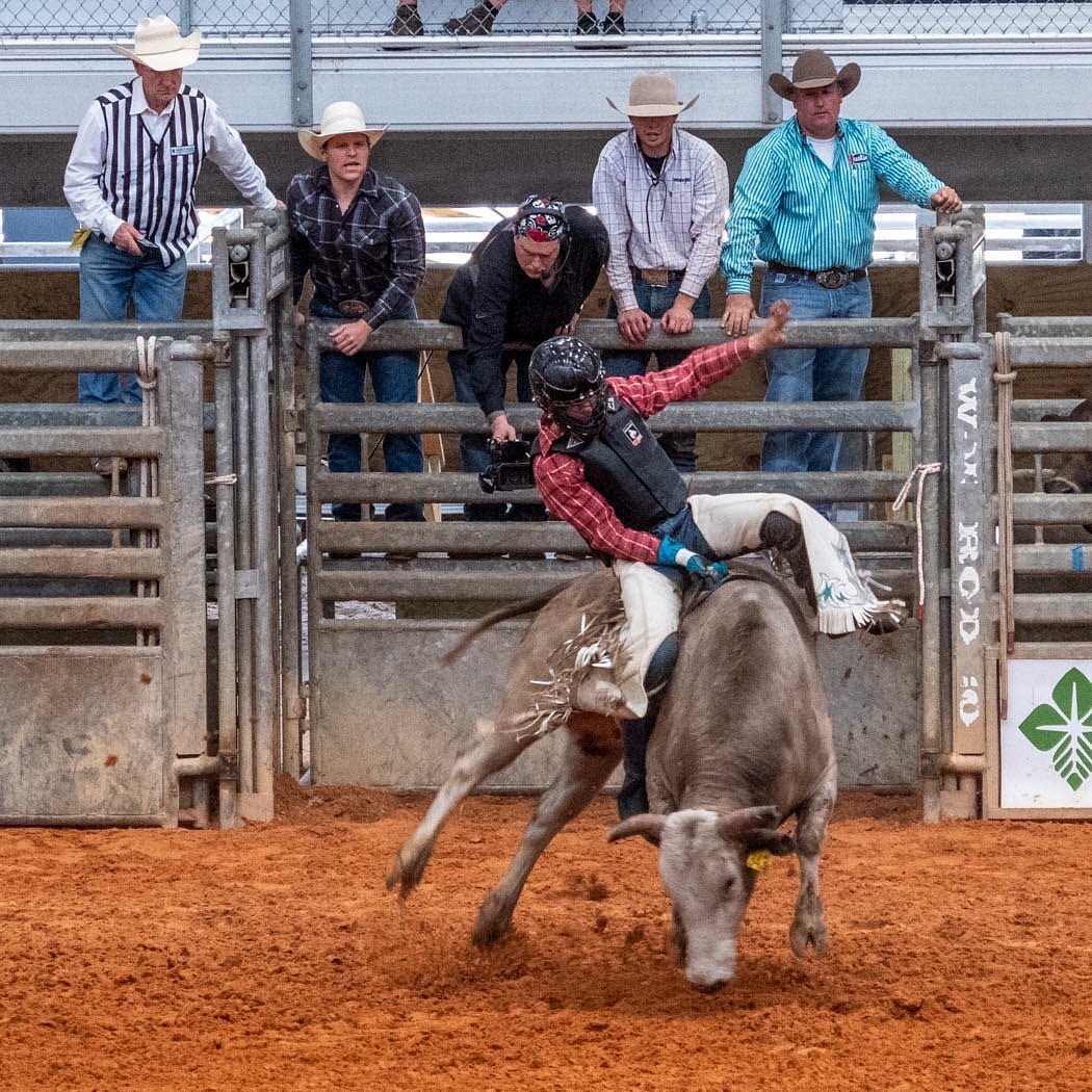 Arcadia AllFlorida Championship Rodeo All You Need to Know