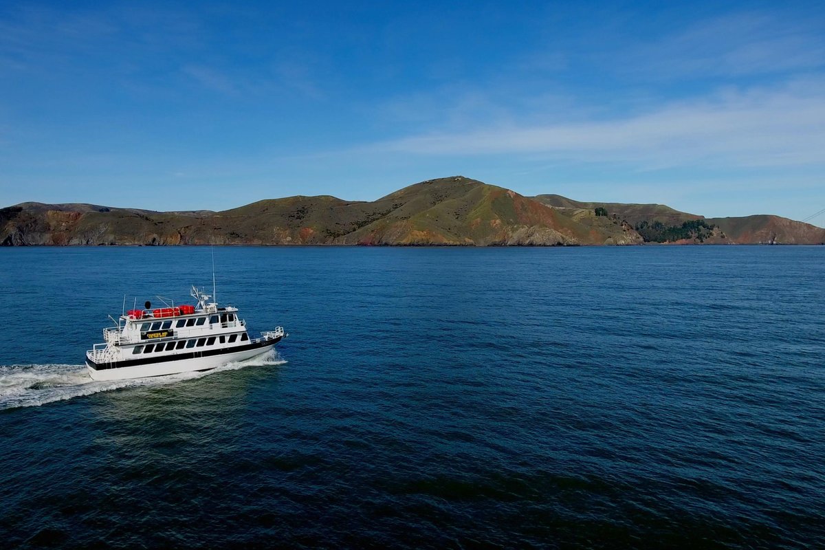 THE 15 BEST Things to Do in Tiburon 2022 (with Photos) Tripadvisor