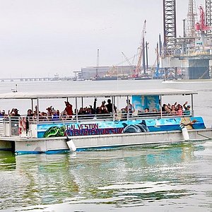 duck tour galveston