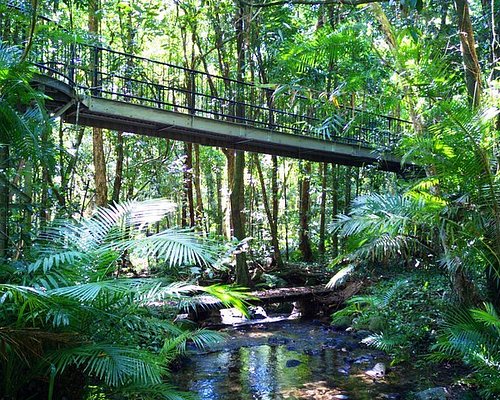 THE 10 Cairns Nature & Tours (with - Tripadvisor