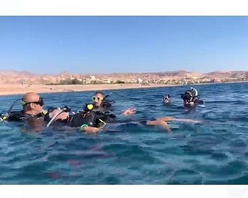 aqaba diving tour