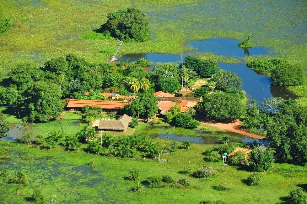 tours to pantanal