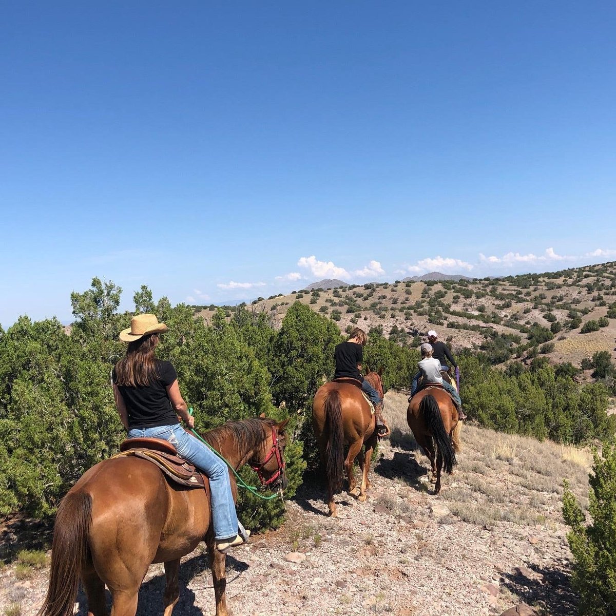 Galisteo Creek Stables Trail Riding - All You Need to Know BEFORE You ...