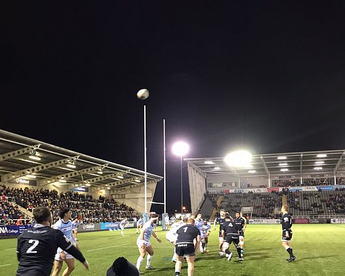 LAST MINUTE GIFT IDEAS - Newcastle Falcons