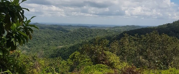 Praying for Belize and the world that we may recover from this pandemic. Life is beautiful. 🇧🇿😇💒
During times like these travelling is not easy but you can still travel Belize virtually by Scrolling thru our posts to see beautiful places in Belize. Be careful and travel safely.