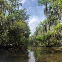 Airboat Adventures (Lafitte) - All You Need to Know BEFORE You Go