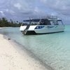 Bishops Cruises (aitutaki) - All You Need To Know Before You Go