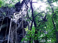 Visita da Spelayon Consultoria para curso de Espeleologia voltada ao  Licenciamento Ambiental - Photo de Monumento Natural Estadual Gruta Rei do  Mato, Sete Lagoas - Tripadvisor