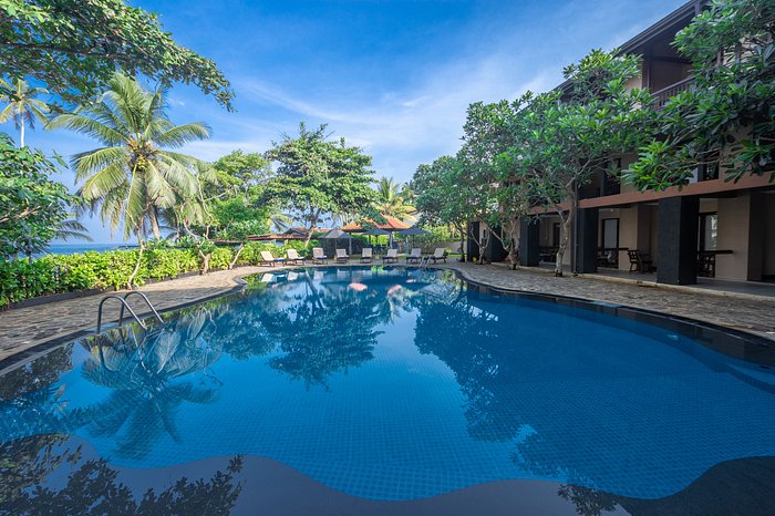Beruwala: Discover the Hidden Gems of Sri Lanka's Coastal Paradise Beruwala: Discover the Hidden Gems of Sri Lanka's Coastal Paradise