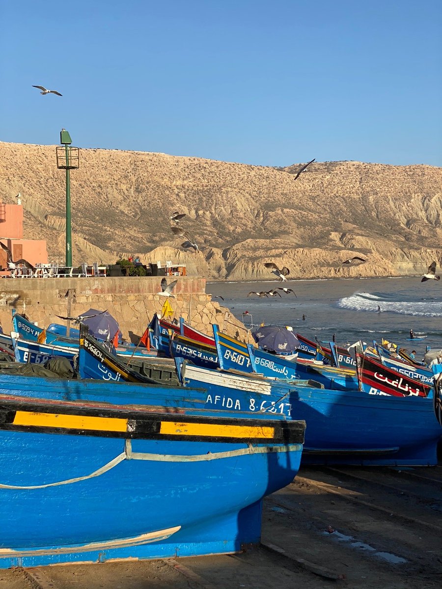 caut o doamna singura in inđija