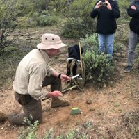 Tripadvisor | Sonoran Desert- Wild Foods and Traditional Skills ...