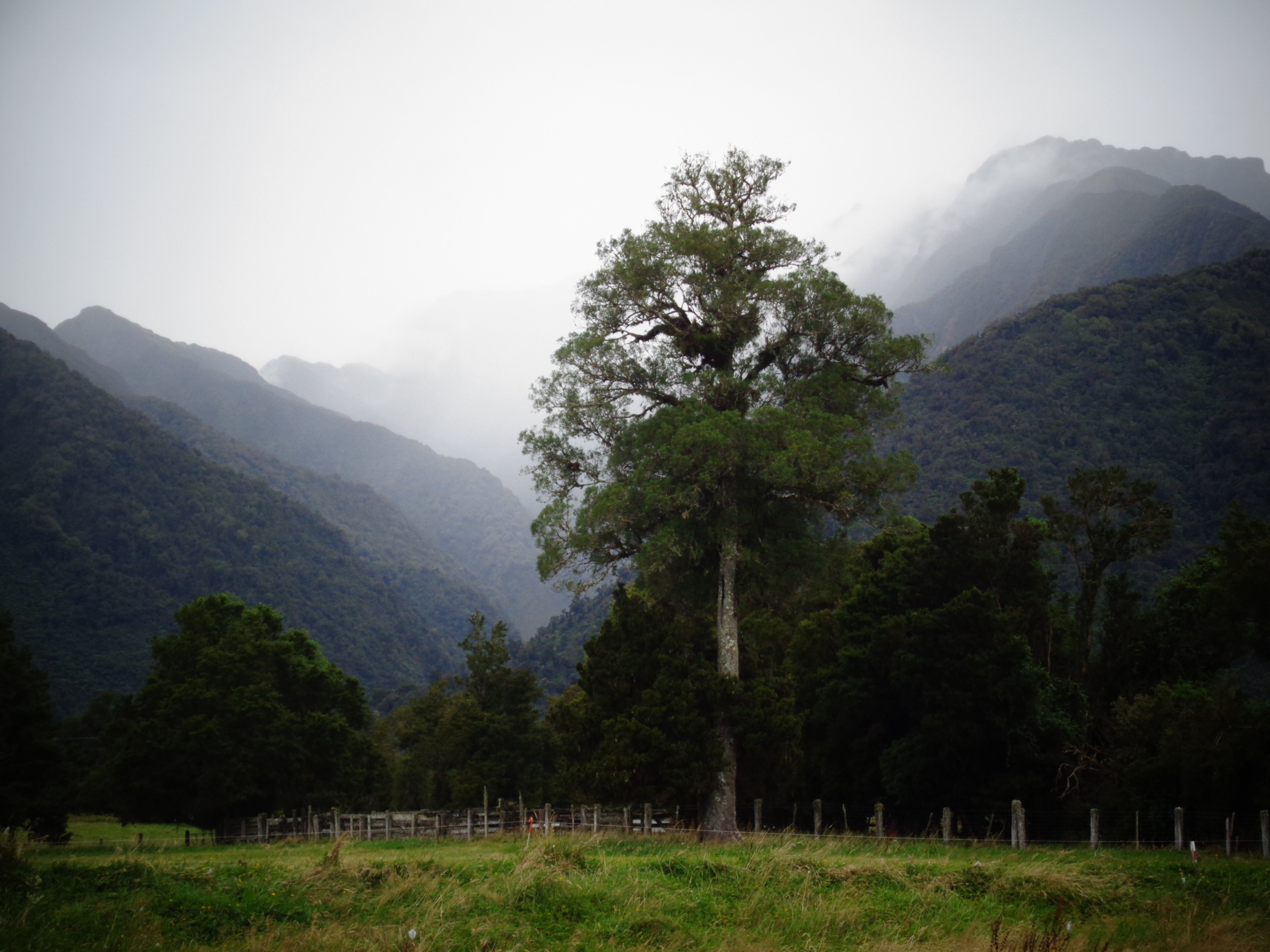 RIBBONWOOD RETREAT BED AND BREAKFAST FRANZ JOSEF GLACIER - Updated 2024 ...