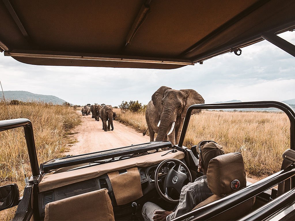 safari namibia costo