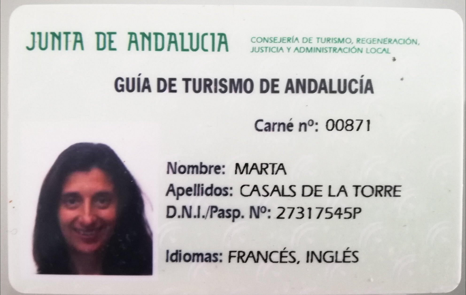 tour guide license in spain