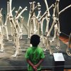 Mxmuseumgoer