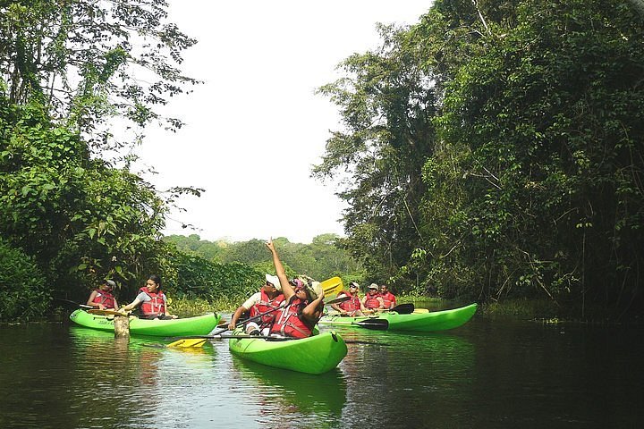 gamboa rainforest reserve tours