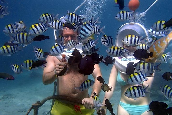 evalueren jukbeen Verslaafde 2023 Underwater Sea Walking in Nusa Dua