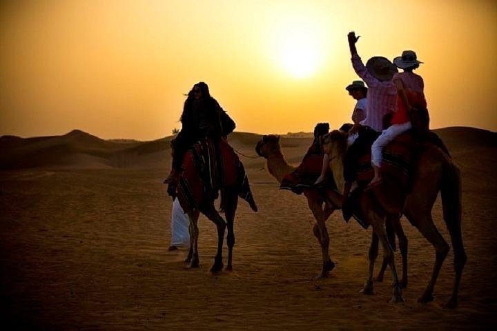 Tripadvisor Caravane De Nuit En Chameau Avec Diner Barbecue Et Petit Dejeuner Arabe Propose Par Oscar Knight Tours Dubai Emirats Arabes Unis