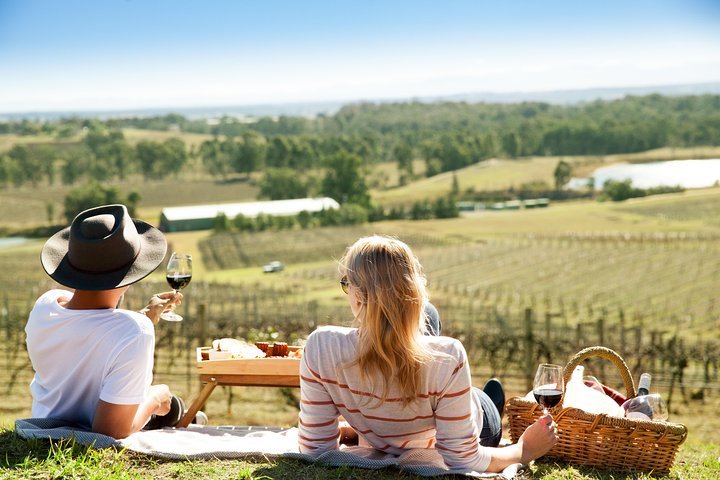 2024 Audrey Wilkinson Vineyard Picnic with Wine Masterclass Tasting