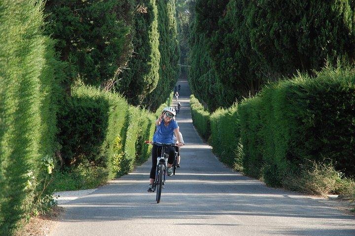 Viking tuscany shop bike