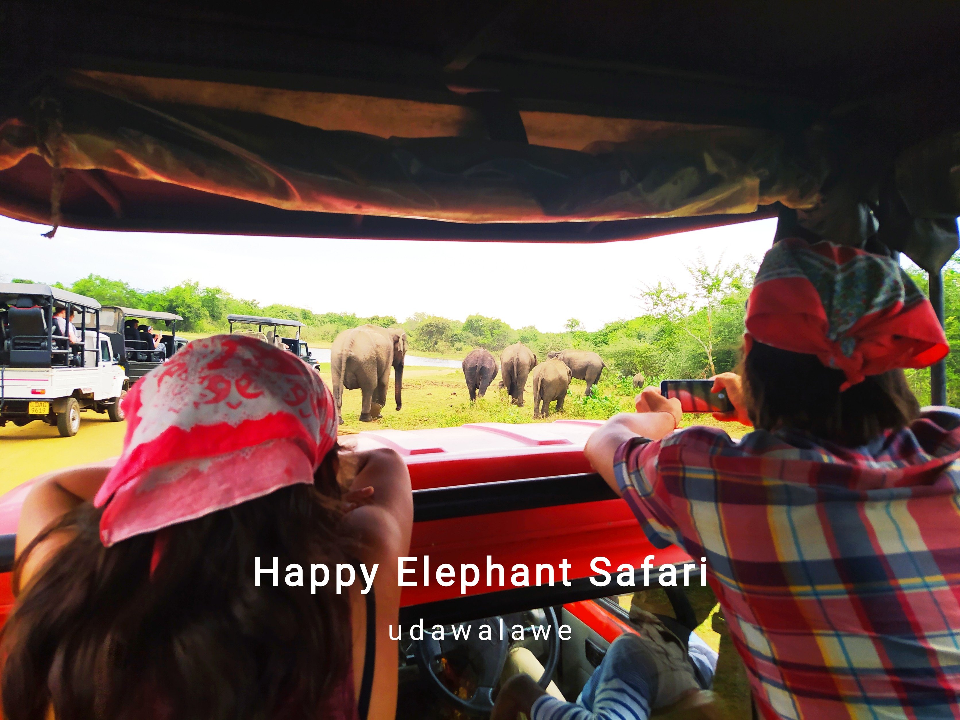 HAPPY ELEPHANT SAFARI UDAWALAWE (2024) All You Need To Know BEFORE You ...