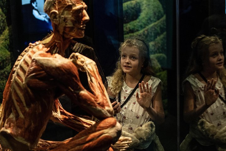 2024 BODY WORLDS London Tripadvisor