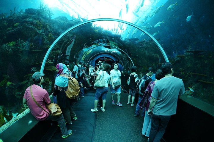 2024 Singapore : South East Asia (S.E.A.) Aquarium E-Ticket