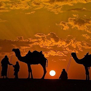 pushkar camel safari timings
