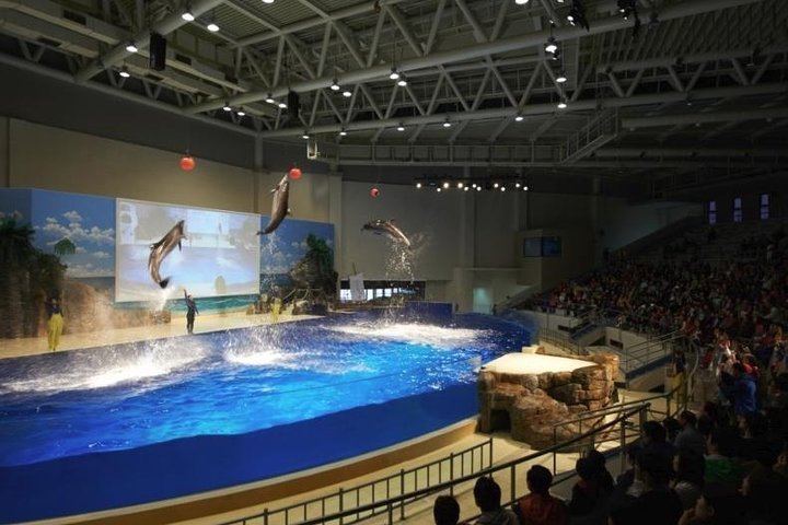 2024 Jeju Aqua Planet Aquarium Admission Ticket (Seogwipo)