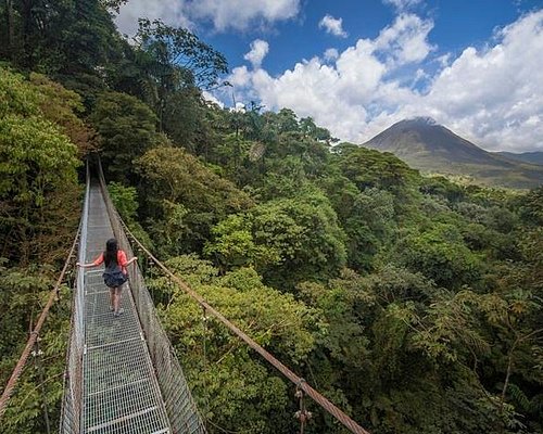 Tourist arriving to platform on a canopy cable ride, Monteverde, Santa  Elena, Costa Rica, Central America Stock Photo - Alamy