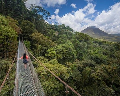 Tourist arriving to platform on a canopy cable ride, Monteverde, Santa  Elena, Costa Rica, Central America Stock Photo - Alamy