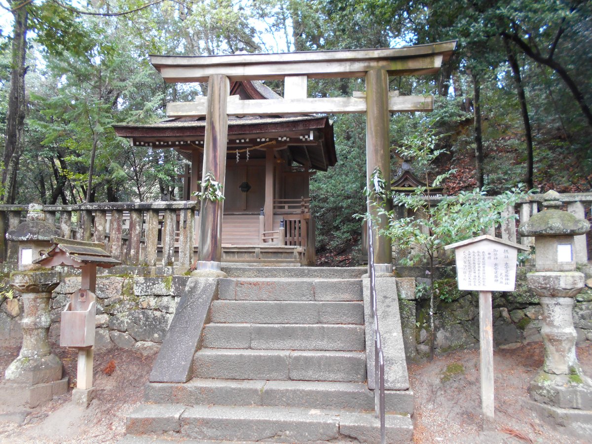 ISONOKAMI JINGU SESSHA IZUMO TAKEO SHRINE HAIDEN (Tenri) - All You Need ...