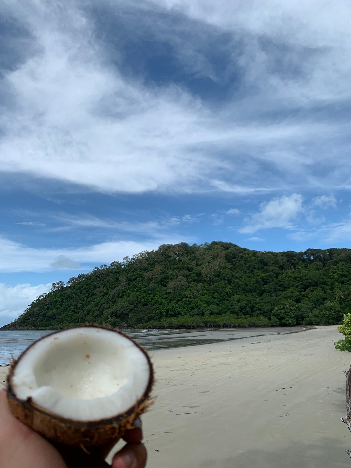 cape tribulation self guided tours