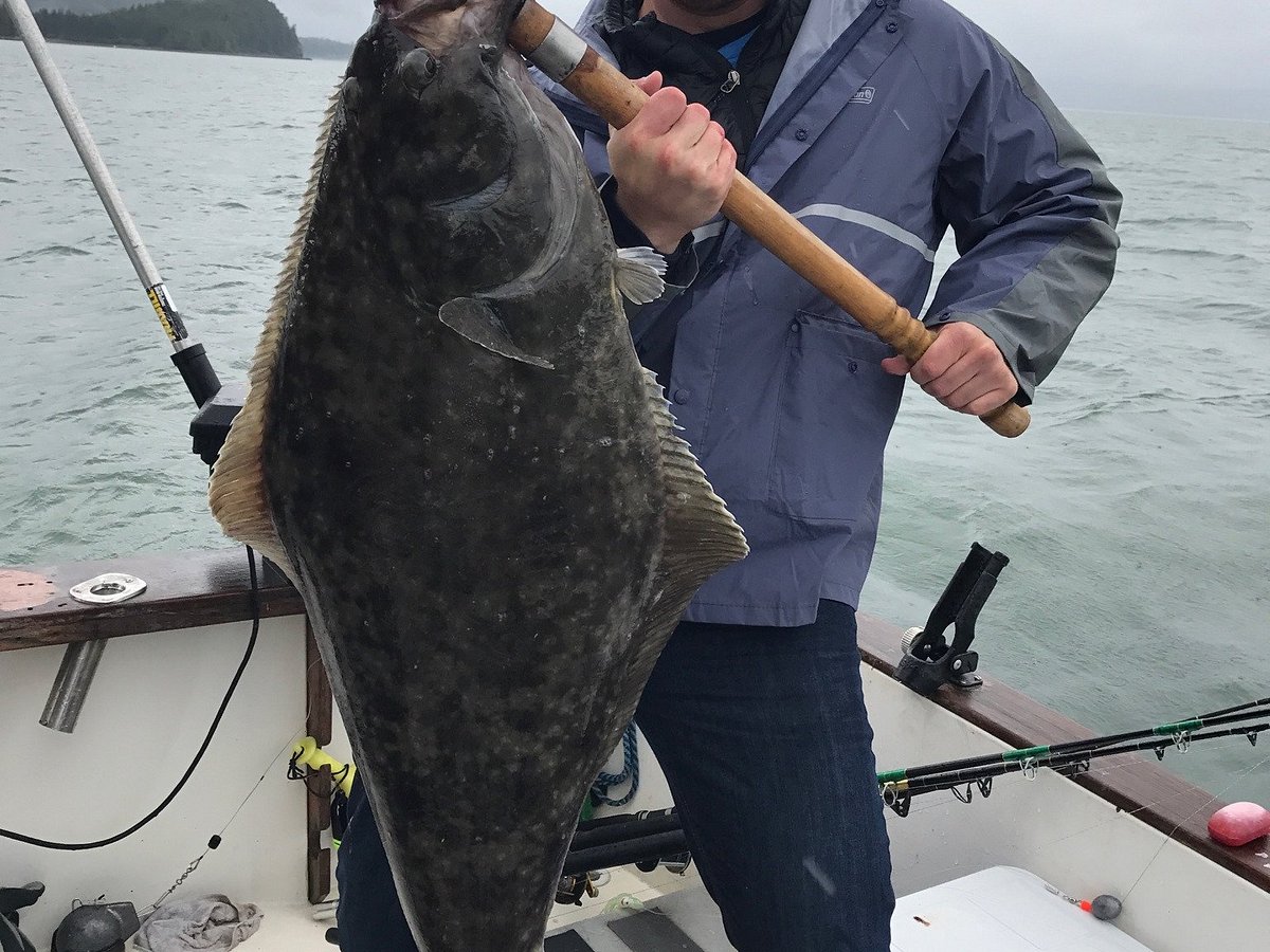 Halibut Fishing Rigs + How to Catch Halibut - (By Captain Cody)